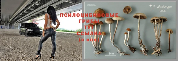 МДПВ Мегион