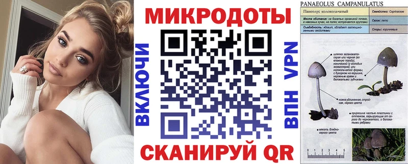Галлюциногенные грибы Magic Shrooms  дарнет шоп  Берёзовка 